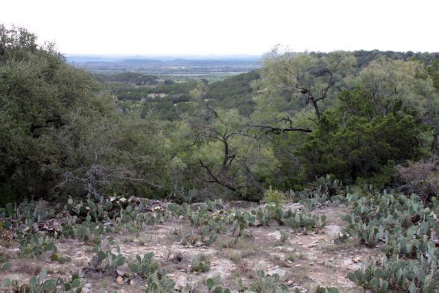 Park Overlook