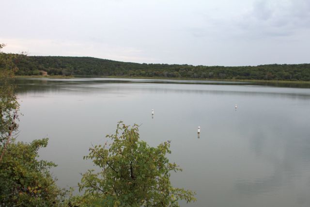 Bird on the Lake